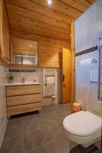 a bathroom with a toilet and a sink at The Fat Fox Lodge, Morzine in Montriond