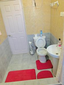 La salle de bains est pourvue de toilettes et d'un lavabo avec des tapis rouges. dans l'établissement Grace Villa, à Agboogba