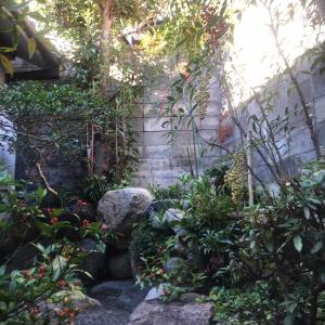 un jardín con rocas y plantas en あまね庵 Villa Amane, en Sakurai