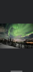 una imagen de un cielo verde con árboles y nieve en Aurora bobil, 