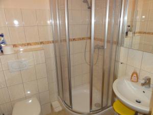 ein Bad mit einer Dusche, einem WC und einem Waschbecken in der Unterkunft Ferienhaus Reith in Bad Mitterndorf