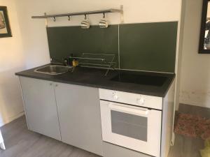 eine Küche mit Spüle und Arbeitsplatte in der Unterkunft Sauro 43 in Pisa