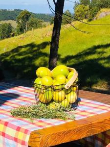 un panier de balles jaunes assises sur une table de pique-nique dans l'établissement Casa na árvore perto da praia, à Imaruí