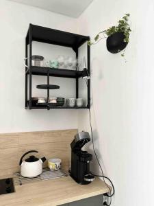 a kitchen counter with a coffee maker on a shelf at Garsonka v srdci Vysočiny in Žďár nad Sázavou