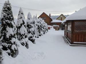 バコヴェルにあるAura Karpatの雪に覆われた木々の集団