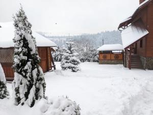 バコヴェルにあるAura Karpatのキャビン横の雪庭