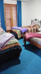 3 camas en una habitación con alfombra azul en Lo de Su 2 en Salta