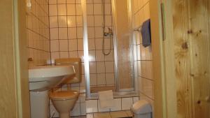 La petite salle de bains est pourvue de toilettes et d'un lavabo. dans l'établissement Pension Waldhaus, à Eibenstock