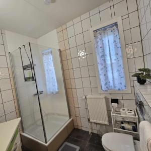 a bathroom with a shower and a toilet and a sink at Guesthouse Kiljan in Blönduós