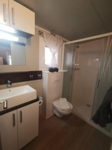 a bathroom with a shower and a toilet and a sink at Mobilehome Mali No 2 in Pakoštane +32 photos