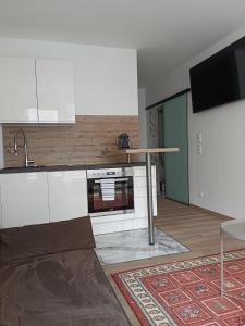 a kitchen with a sink and a stove top oven at LiNZ CITY SUITE in Linz