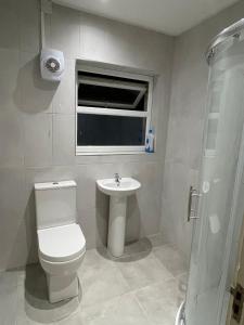 a bathroom with a toilet and a sink and a window at The House on the Hill in Kilrush