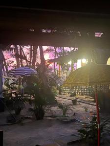 Alleppey Beach Garden外面的花园