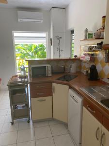 a kitchen with a sink and a microwave at Bungalow Belfond Plage Pointe Marin in Sainte-Anne