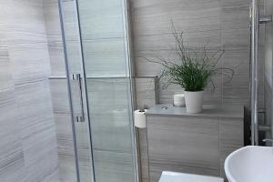 een badkamer met een douche, een toilet en een plant bij Close to Snowdon with Mountain views of Snowdonia in Caernarfon