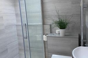a bathroom with a shower and a toilet and a plant at Close to Snowdon with Mountain views of Snowdonia in Caernarfon +24 photos