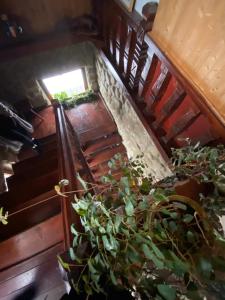 una escalera con un montón de macetas en Pensiunea Andrei, en Borşa