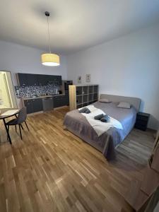 een slaapkamer met een bed, een bureau en een tafel bij Cozy Homes Vienna in Wenen