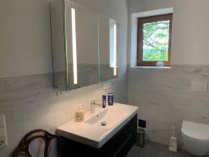 a bathroom with a sink and a mirror and a toilet at Schöne Ferienwohnung im Landhaus in Stadtlengsfeld