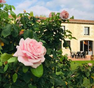 a pink rose bush in front of a house at GITE AU BOOM COEUR forfait Spa, Dîner & Petit-déjeuner inclus in Tourtenay