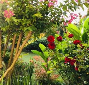 a garden with red and pink flowers and trees at GITE AU BOOM COEUR forfait Spa, Dîner & Petit-déjeuner inclus in Tourtenay