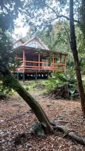 Agradable Cabaña inserta en bosque nativo foto 5
