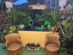 zwei Stühle vor einem Garten mit Pflanzen in der Unterkunft Hotel Rural La Raya 1866 in Güímar