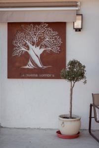 Fotografia z galérie ubytovania La Buena Sombra v Alicante