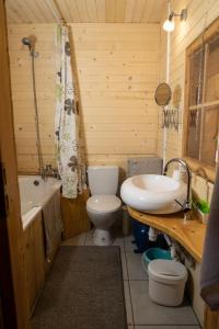 Drewniany domek pod masywem Śnieżnika dojazd otwarty في Nowa Morawa: حمام مع مرحاض ومغسلة وحوض استحمام +16 صورة