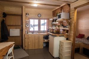 a kitchen with a refrigerator and a sink in a room at Drewniany domek pod masywem Śnieżnika in Nowa Morawa