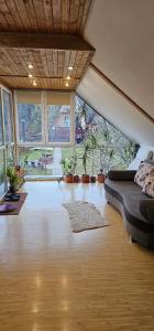 a large room with a bed and some plants at Casa Sabina in Pucioasa