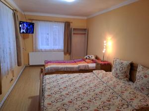 a bedroom with two beds and a flat screen tv at Casa Argentina in Cârțișoara