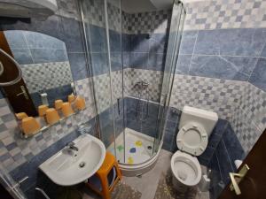 een badkamer met een toilet, een wastafel en een douche bij Apartment in Icici with sea view, terrace, Wi-Fi (4870-3) in Ičići