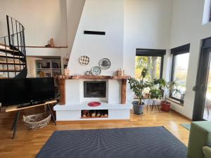 a living room with a fireplace and a tv at Vila blizu Beograda - My Family Cottage in Ba°evac +27 photos