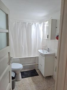 a white bathroom with a toilet and a sink at Casa Argentina in Cârțișoara