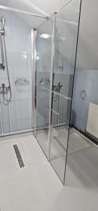 a shower with glass doors in a bathroom at Casa Sabina in Pucioasa