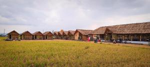 ハンピにあるMurali Guesthouse Hampiの一軒家の前に畑