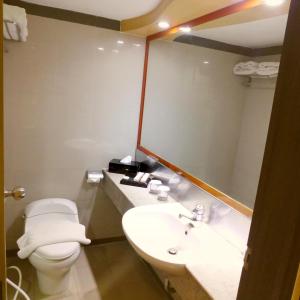 Tamarin Hotel Jakarta manage by Vib Hospitality Management في جاكرتا: حمام مع مرحاض ومغسلة ومرآة