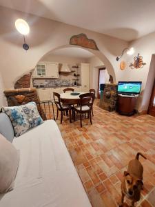 a living room with a dog sitting in the middle of the room at Villetta Blu in Rio nellʼElba