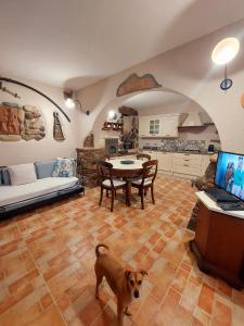 a dog standing in the middle of a living room at Villetta Blu in Rio nellʼElba