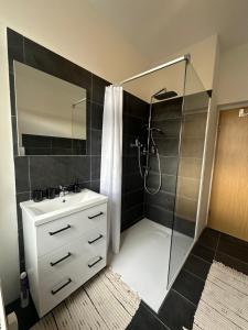 ein Bad mit einer Dusche, einem Waschbecken und einem Spiegel in der Unterkunft Ferienwohnung Haus Paraschiv in Aue