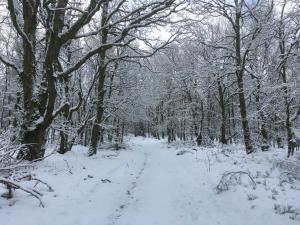 Le Temps d'une Fugue during the winter