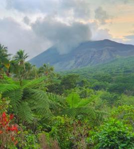 a view of a mountain with palm trees and plants at Imaio home stay in Ipenyen