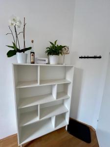 a white book shelf with two potted plants on it at Studio-Apartment in zentraler Lage in Graz