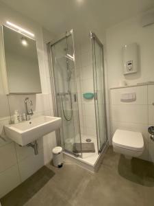a bathroom with a shower and a sink and a toilet at Apartment Nr. 2 Bad Laasphe Altstadt in Bad Laasphe
