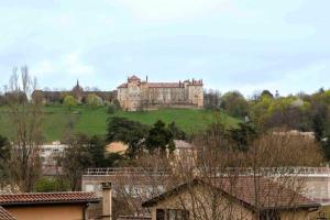 a large castle on top of a hill with trees at Appartement jacuzzi hammam in Francheville