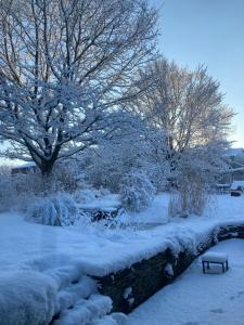Le Temps d'une Fugue during the winter