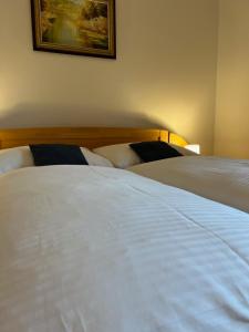 2 nebeneinander sitzende Betten in einem Schlafzimmer in der Unterkunft Hotel Eufória in Nová Lesná