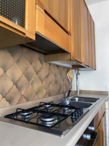 una cucina con lavello e fornelli di Flat Seriate a Seriate Altre 30 foto