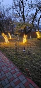 a park with illuminated trees and a person sitting on a swing at Casa Sabina in Pucioasa